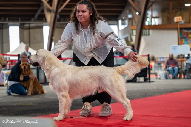 Solomon  Of first capital